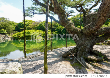 Ritsurin Garden, a special scenic spot in Takamatsu City, Kagawa Prefecture (photographed in April 2026) Ritsurin Garden, a special scenic spot in Takamatsu City, Kagawa Prefecture (photographed in April 2026) 139178834