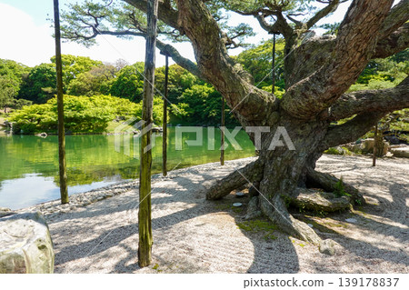 Ritsurin Garden, a special scenic spot in Takamatsu City, Kagawa Prefecture (photographed in April 2026) 139178837
