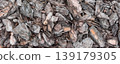 Closeup top view of bark mulch wood texture background made of natural brown tree chips. Rustic organic surface for garden design, landscaping, eco backdrop, material pattern and earthy wallpaper. 139179305