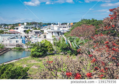Deigo鮮花和鯉魚旗 139179356