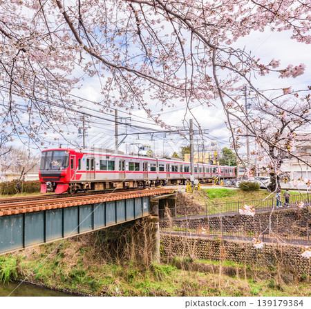 A scene of cherry blossom trees in full bloom and a railway bridge with a train running across it. A scene of cherry blossom trees in full bloom and a railway bridge with a train running across it. 139179384