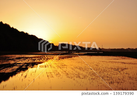茨城縣日立仲市寧靜的稻田景色。 茨城縣日立仲市寧靜的稻田景色。 139179390