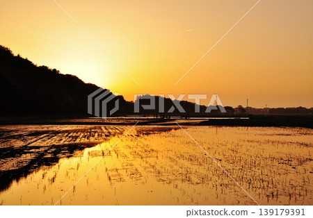 茨城縣日立仲市寧靜的稻田景色。 茨城縣日立仲市寧靜的稻田景色。 139179391