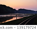 A peaceful rice paddy landscape in Hitachinaka City, Ibaraki Prefecture. 139179724