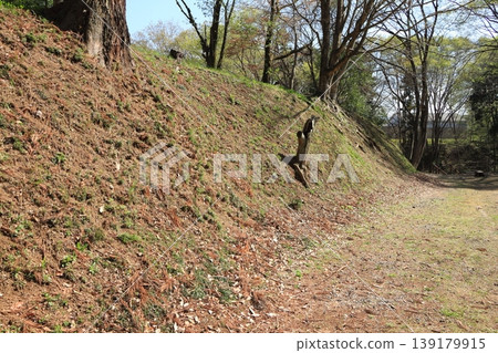 埼玉縣寄居町八形城公園 139179915