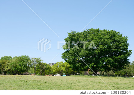 Shonai Ryokuchi 25, Nishi Ward, Nagoya City, Aichi Prefecture, April 2025 Shonai Ryokuchi 25, Nishi Ward, Nagoya City, Aichi Prefecture, April 2025 139180204