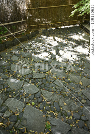 名古屋市白鳥庭園竹林中蜿蜒的石階 名古屋市白鳥庭園竹林中蜿蜒的石階 139180633