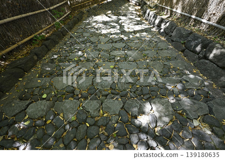 名古屋市白鳥庭園竹林中蜿蜒的石階 名古屋市白鳥庭園竹林中蜿蜒的石階 139180635