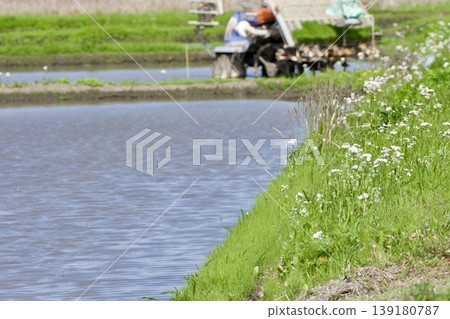 Farm work April Farm work April 139180787