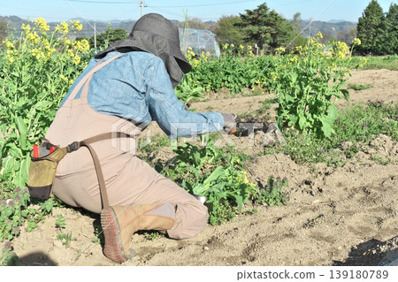 Farm work 139180789