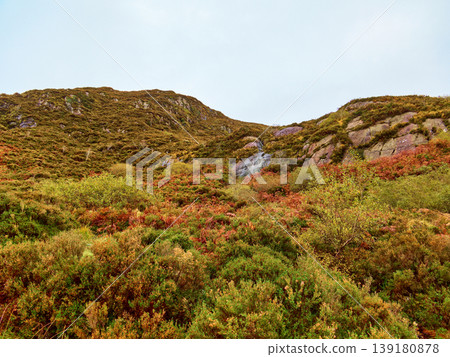 A steep mountain slope covered in dense shrubs, ferns, and rocky outcrops under a clear sky. A steep mountain slope covered in dense shrubs, ferns, and rocky outcrops under a clear sky. 139180878
