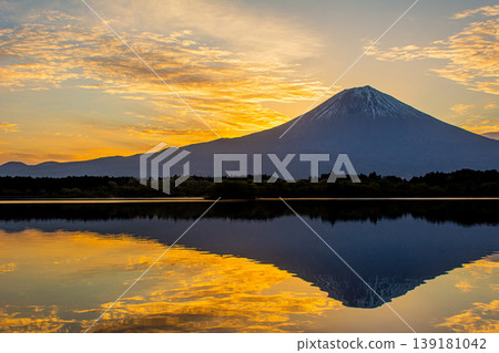 富士山上金色的日出倒映在如鏡的山體上，構成了一幅令人嘆為觀止的景象。 139181042