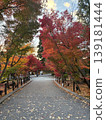 Kyoto, Autumn Leaves, Zenrin-ji Temple (Eikan-do) 139181444