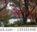 Kyoto, Autumn Leaves, Zenrin-ji Temple (Eikan-do) 139181446