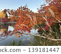 Kyoto, Autumn Leaves, Zenrin-ji Temple (Eikan-do) 139181447