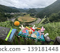 Aragi Island, Aritagawa Town, Wakayama Prefecture: One of Japan's Top 100 Terraced Rice Fields and one of Wakayama Prefecture's Top 100 Sunrise and Sunset Spots 139181448