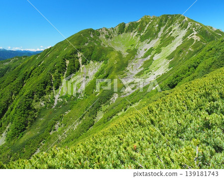 仙城岳和高仙城冰鬥的夏季 仙城岳和高仙城冰鬥的夏季 139181743