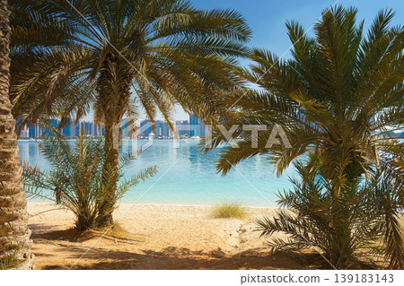 Abu Dhabi, United Arab Emirates,  Panoramic view of the sandy beach with palm trees, the skyscrapers of Abu Dhabi are visible in the background, at daytime 139183143