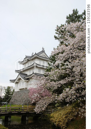 Oshiro 139183596