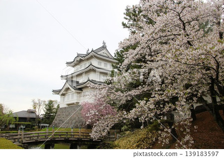 Shinobushiro 139183597