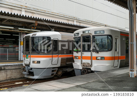 特快列車 Inaji 373系列和313系通勤列車 特快列車 Inaji 373系列和313系通勤列車 139183810