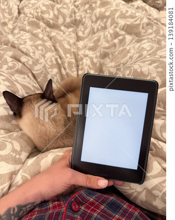 Person holding an e-reader device while resting near a siamese cat on a bed. Relaxation, digital reading, home comfort, and cozy lifestyle moment Person holding an e-reader device while resting near a siamese cat on a bed. Relaxation, digital reading, home comfort, and cozy lifestyle moment 139184081