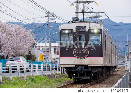 [Fukushima Kotsu Iizaka Line] A train speeds through a residential area with cherry blossoms in bloom. 139184165