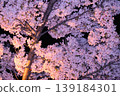Cherry blossoms at night 139184301