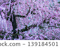 Suzuka Forest Garden 139184501