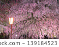 Suzuka Forest Garden 139184523