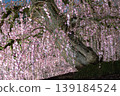 Suzuka Forest Garden 139184524
