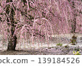 Suzuka Forest Garden 139184526