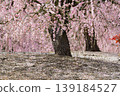 Suzuka Forest Garden 139184527