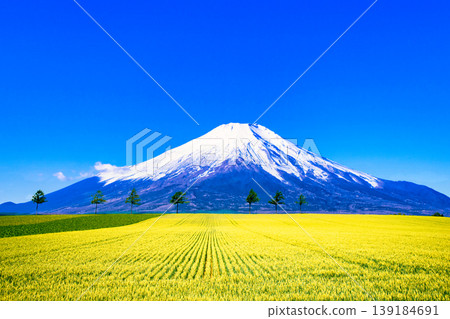 Beautiful rural scenery of Hokkaido and Mt. Fuji composition Beautiful rural scenery of Hokkaido and Mt. Fuji composition 139184691