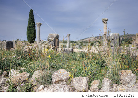 Ancient ruins with tall grass and wildflowers, featuring stone columns and a cypress tree, set against a clear blue sky, evoking a sense of history and nature's reclamation Ancient ruins with tall grass and wildflowers, featuring stone columns and a cypress tree, set against a clear blue sky, evoking a sense of history and nature's reclamation 139185285