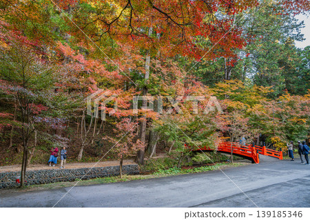靜岡縣遠富國一宮市小國神社的秋葉 靜岡縣遠富國一宮市小國神社的秋葉 139185346