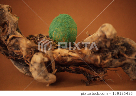 Green textured egg placed on a twisted piece of driftwood against a brown background, showcasing natural elements and organic shapes in a minimalist composition 139185455