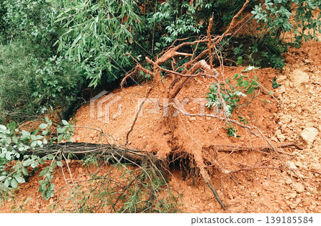 landslide	 139185584
