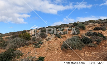 Landscape of the hill in Comino island Landscape of the hill in Comino island 139185655