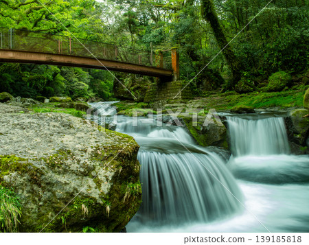 菊池谷的蔥綠意和懸索橋 菊池谷的蔥綠意和懸索橋 139185818