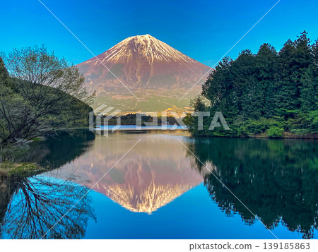 Mount Fuji framed in a wooden frame and a mirrored world in the season of fresh greenery Mount Fuji framed in a wooden frame and a mirrored world in the season of fresh greenery 139185863