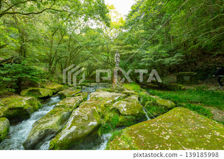 A statue of Kannon Bodhisattva stands amidst the clear stream and rocks of the Shiromizu Valley in Kagoshima City, creating a mystical forest landscape. A statue of Kannon Bodhisattva stands amidst the clear stream and rocks of the Shiromizu Valley in Kagoshima City, creating a mystical forest landscape. 139185998