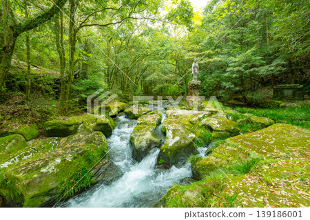 在鹿兒島市白水溪谷清澈的溪流和岩石間，矗立著一尊觀音菩薩像，營造出神秘的森林景觀。 139186001