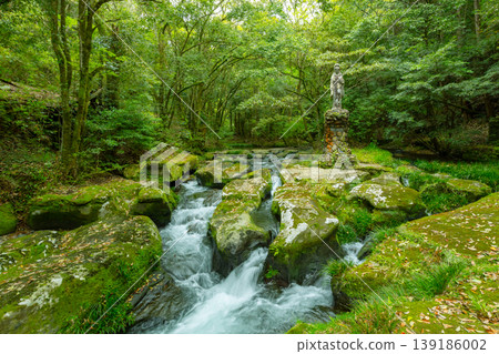 在鹿兒島市白水溪谷清澈的溪流和岩石間，矗立著一尊觀音菩薩像，營造出神秘的森林景觀。 139186002