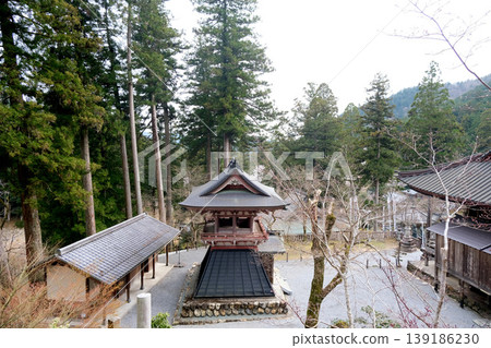 Kegonji Temple, Tanigumi-san, Ibigawa-cho, Ibi-gun, Gifu Prefecture, April 2025 139186230