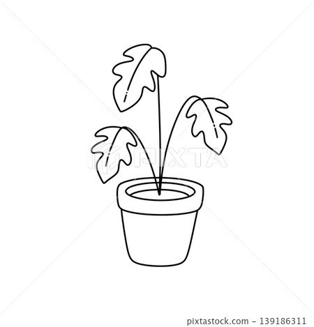 Simple line drawing of potted plant with broad leaves Simple line drawing of potted plant with broad leaves 139186311