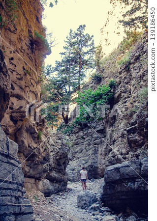 Exploring a narrow canyon with rugged rock formations and lush greenery Exploring a narrow canyon with rugged rock formations and lush greenery 139186450