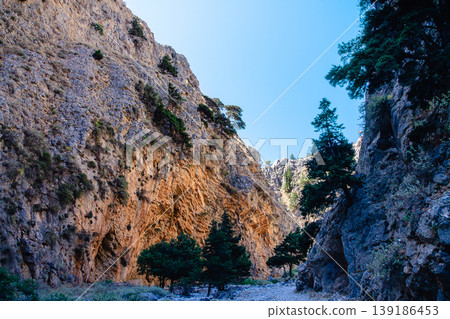 Majestic canyon landscape with towering cliffs and lush greenery Majestic canyon landscape with towering cliffs and lush greenery 139186453