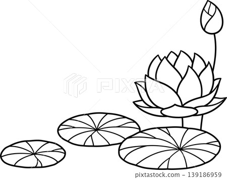Lotus flower line drawing Lotus flower line drawing 139186959