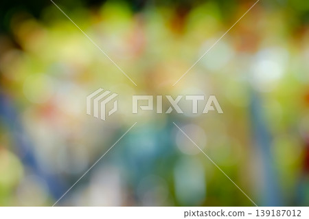 A colorful and soft bokeh background created by sunlight filtering through the trees. A colorful and soft bokeh background created by sunlight filtering through the trees. 139187012